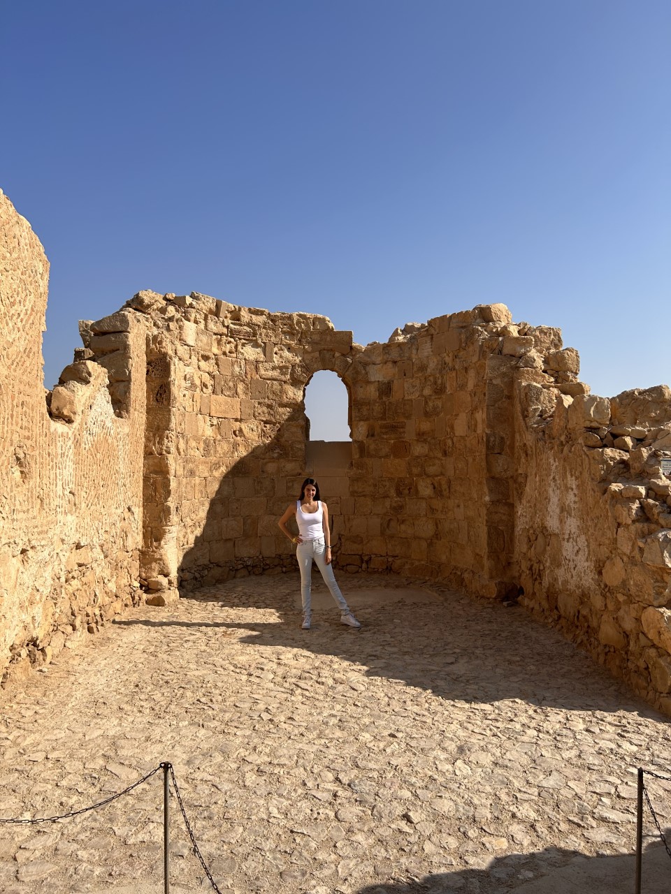 Case Study: Carlton Tel Aviv, Tourist Journey and ALENA - Footprints by Kat  Fleischman